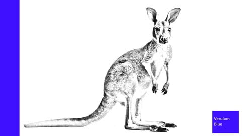 CCA175 Exam Preparation Qs (Inc Spark 2.4 Hadoop Cluster VM)