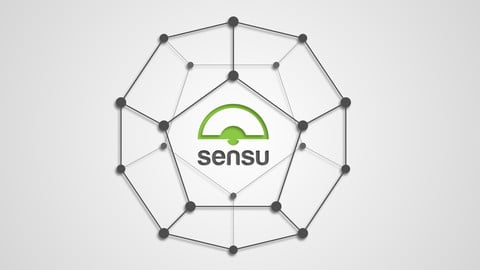 Sensu – Introduction