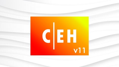 Certified Ethical Hacker CEH v11 Practice Test 500 q&a