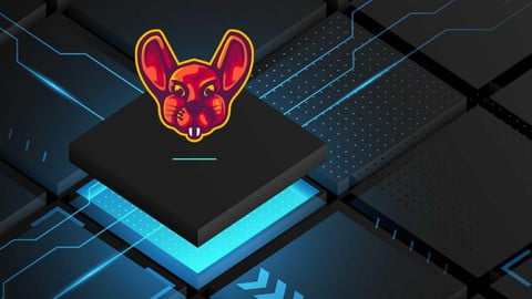 Broad Scope Bug Bounties From Scratch