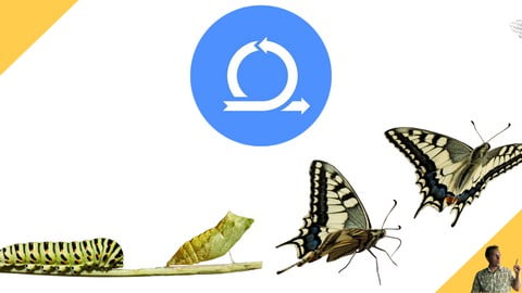 Start the transition from Waterfall to Agile RIGHT NOW!