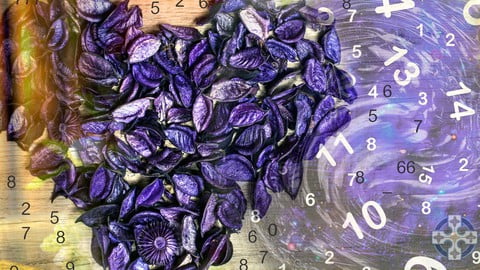 Certified: The Definitive Guide To Spiritual Numerology