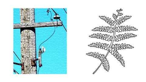 Distribution Power Engineering Fundamentals