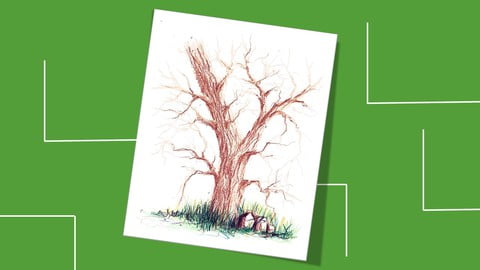 Drawing a tree without leaves in colored pencils