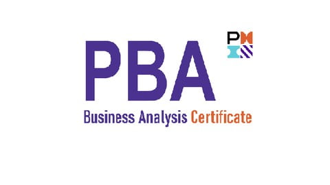 PMI Professional in Business Analysis (PMI-PBA)
