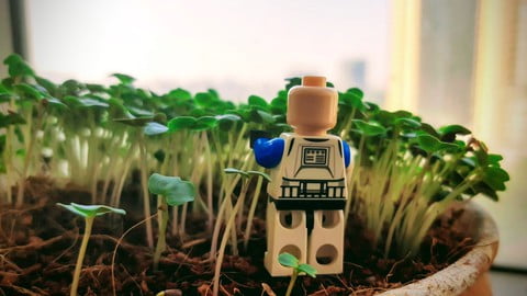 Software engineering fundamentals for Beginners : 0-4 years