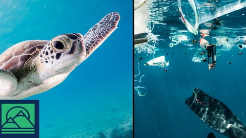 Plastic Waste Pollution: causes, impacts & solutions