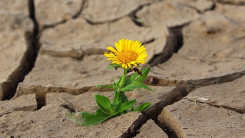 Positivity in 2023 and beyond (despite the virus!)
