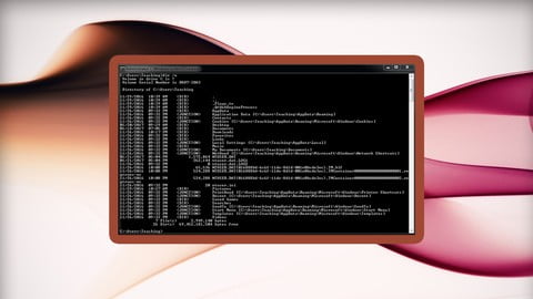 MS-DOS Complete Course: from Zero to Professional!