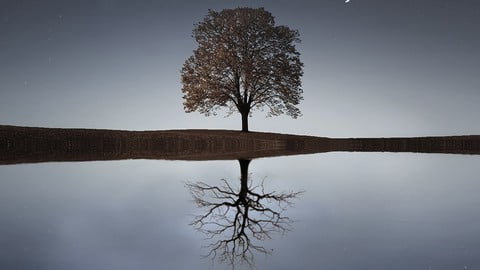 Live Longer & Reclaim Your Youth Using New Longevity Tech!