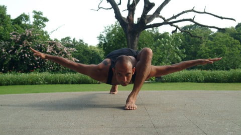 Hatha Yoga Unplugged – Series 2