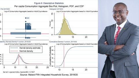 Mastering Household Survey Data Processing using Stata