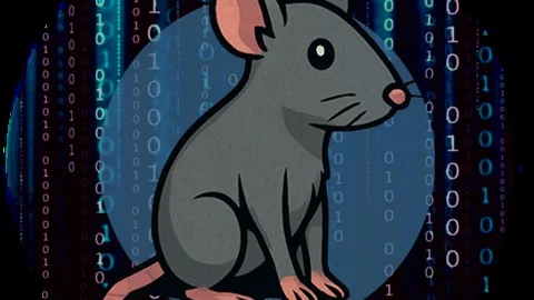 CAPIE – Certified API Hacking Expert Course Content