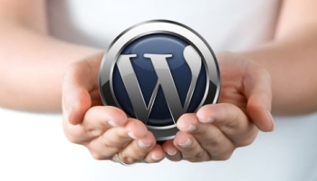 WordPress: Make A Professional Website With No Coding