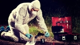 Forensic Psychology – ACCREDITED CERTIFICATE