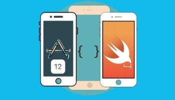 The Complete iOS Apps Developer Course (Project base)