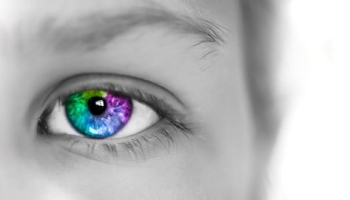 Adobe Lightroom For Beginners : Complete Photo/Image Editing
