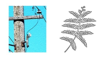 Distribution Power Engineering Fundamentals