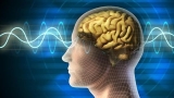 Quantum Physics: Quantum Computing