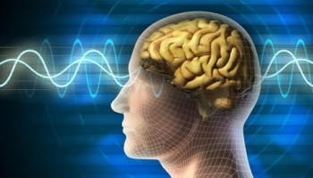 Quantum Physics/Quantum Computing (University Level Course)