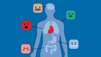 Emotional Intelligence at Work: Learn from Your Emotions