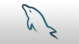 Learn MySQL – For Beginners