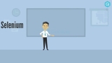 Complete SELENIUM WEBDRIVER – The SELENIUM MOVIE !!