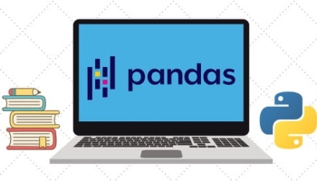The Ultimate Pandas Bootcamp: Advanced Python Data Analysis
