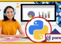 Python For Data Science In 2025 A-Z: EDA With Real Exercises