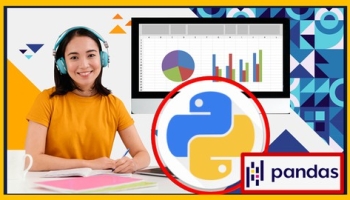Python For Data Science In 2025 A-Z: EDA With Real Exercises