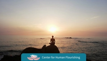 Introduction to mindfulness meditation