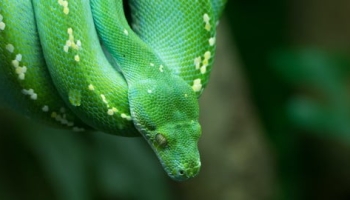 Python for Absolute Beginners – (1.Part )