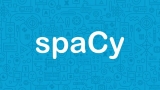 Natural Language Preprocessing Using spaCy