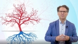 Mind Maps Basics and Learning How to Learn with Mind Mapping