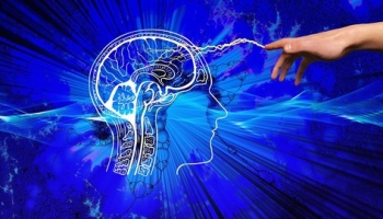 Neuro-linguistic Programming – Orientation Course