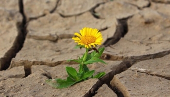 Positivity in 2023 and beyond (despite the virus!)