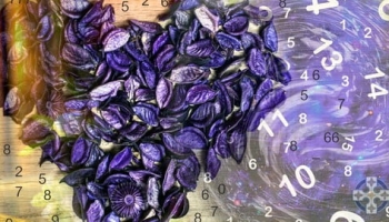 Certified: The Definitive Guide To Spiritual Numerology