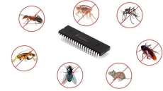 PIC Microcontroller Insect Detector