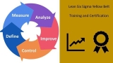 Lean Six Sigma Yellow Belt Certification Training