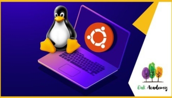Linux Basics for Beginners