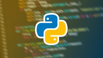 Python Programming Essentials for Beginners