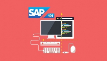 The Complete SAP S/4HANA Bootcamp 2023: Go from Zero to Hero