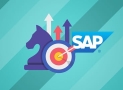 SAP Basis Essential Training