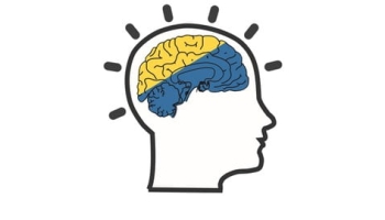 Python for Data Science with Assignments