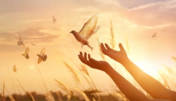 A Practical Guide to Forgiveness: How to Heal Past Hurt