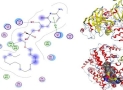 Drug Design and Molecular Docking by using computation Tools