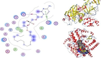 Drug Design and Molecular Docking by using computation Tools
