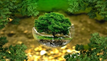 Environmental and Ecology Management