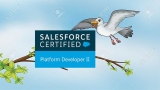 Salesforce Certified Platform Developer II certification
