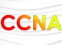 Certified Network Associate CCNA Practice Test